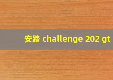 安踏 challenge 202 gt